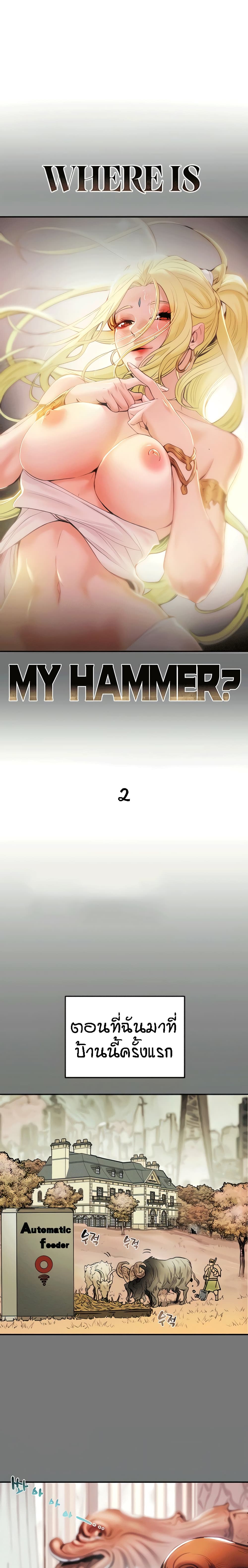 Where Did My Hammer Go 2 01